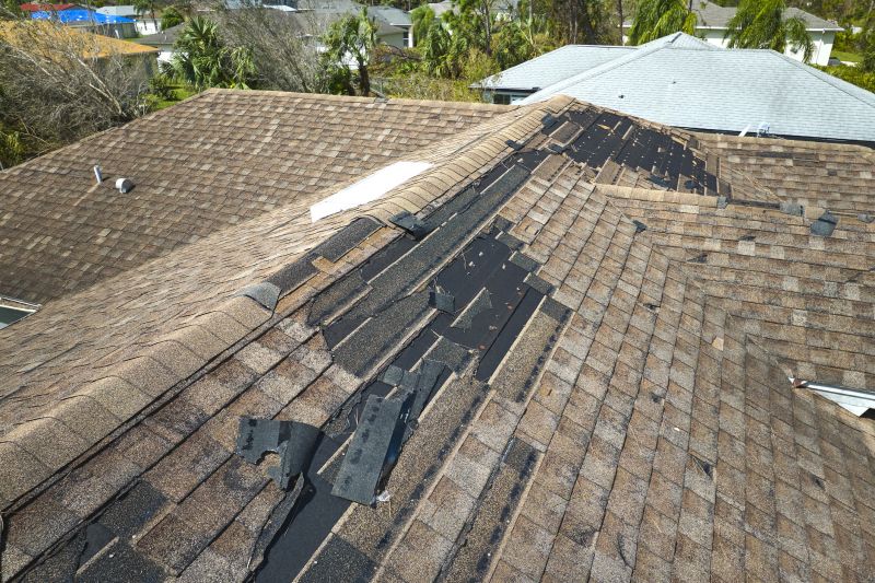 Asphalt Shingle Repair - Damage Assessment