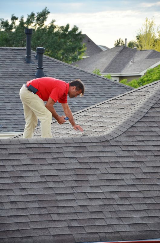 Asphalt Shingle Repair - Professional Inspection
