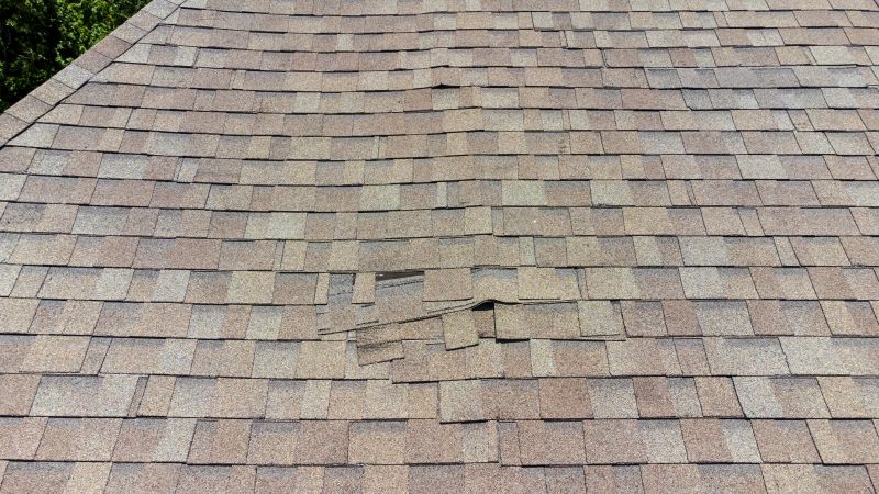 Comprehensive Roof Assessment